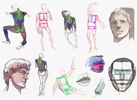 Kurs - Digital Painting - Podstawy anatomii człowieka