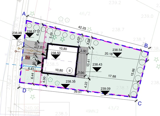 Kurs Revit - Projekt zagospodarowania terenu domu jednorodzinnego